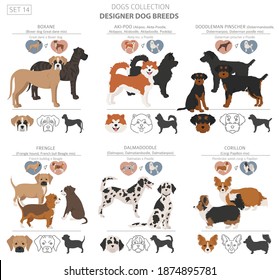 Designer dogs, crossbreed, hybrid mix pooches collection isolated on white. Flat style clipart dog set. Vector illustration