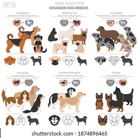 Designer dogs, crossbreed, hybrid mix pooches collection isolated on white. Flat style clipart dog set. Vector illustration