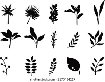 Designer elements forest collection Premium silhouettes vector