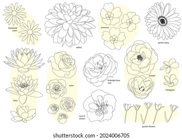 Designer kit of twenty-six flowers in outline with eleven different types, some with different angle drawings. With names of flowers used as inspiration.