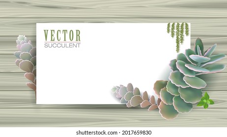 Afiche de diseño de plantas suculentas y espacio blanco para el contenido.