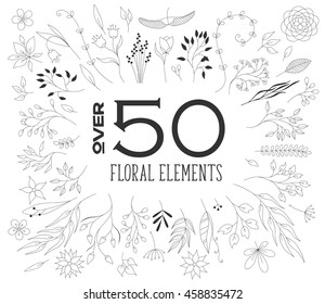 Designer's set of nature floral elements, vector