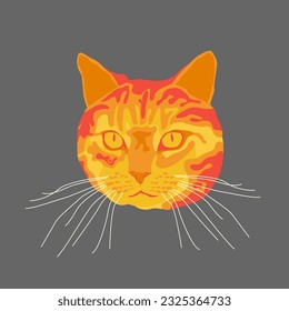 Designing an Orange Stray Cat, Embracing the Charm of Street Felines