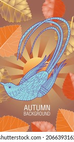 Designs templates of summer and autumn background. Seasons poster, flyer, invitation, card. Vector Illustration