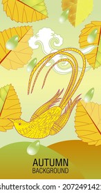 Designs templates of summer and autumn background. Seasons poster, flyer, invitation, card. Vector Illustration