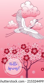 Diseña plantillas de fondo de verano y primavera. Cartel de temporada, volante, invitación, tarjeta. Ilustración vectorial
