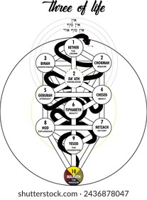 Desing of the Kabbalah or Qabalah Tree of life of the Jewish mysticism showing the paths of wisdom .