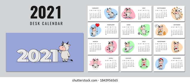 Desktop calendar design template for 2021, the year of the Ox, cow, or bull according to the Chinese calendar. Set of 12 pages and cover with a cute bull. Vector stock flat illustration.