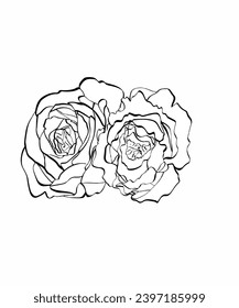 Desktop documents colorful frame green rose flower plant handbags drawing