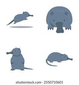 Desman animal icons set cartoon vector. Mammal of mole family. Wildlife animal