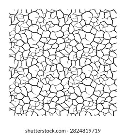 Desolate cracked earth texture with dry mud pattern, evoking a sense of drought and arid landscape