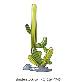 Dessert cactus icon. Cartoon of dessert cactus vector icon for web design isolated on white background