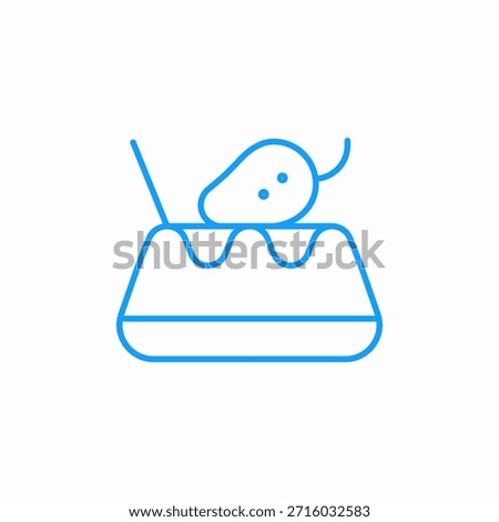 dessert with fruit icon sign vector