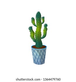 Dessert green colorful cactus in blue striped pot