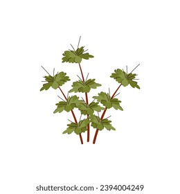 Dessert spiny plant. Thorn camel shrub. Isolated flat vector illustration.