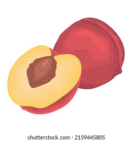 dessert summer peach fruit vector cartoon tropical ingredient diet cute homemade flavor juice baked