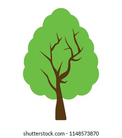 
Dessert tree with the name afghan pine
