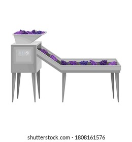 Destemmed Grapes Rested on Conveyor Belt as Sorting Process Vector Illustration