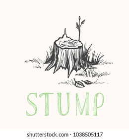 Destroyed stump of large powerful cut tree. Vector monochrome freehand ink drawn background sketching in scrawl style of pen on paper with lettering.