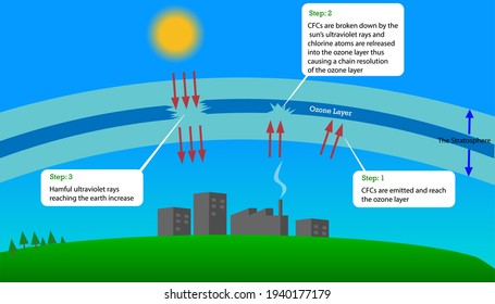 The destruction of the ozone layer and it's effects