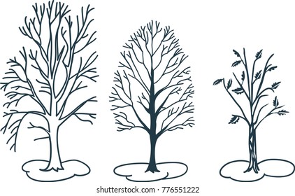 Detached set of trees trunks without and with leaves on a white background. Silhouette.