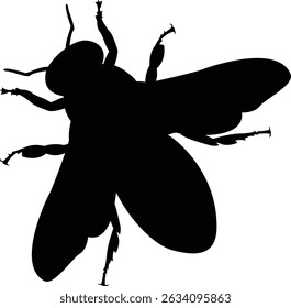 detail of bee or honeybee in Latin Apis Mellifera, european or western honey bee isolated on the white background