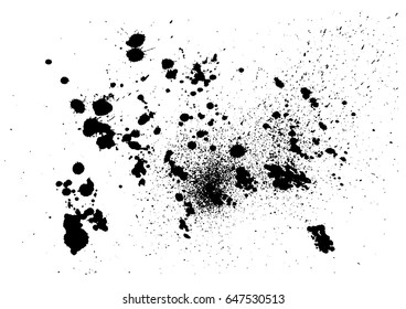 detail brush paint stroke ink blots. vector