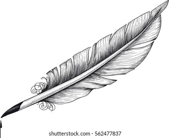 detail drawn Vintage quill for poets and writers. Ink drop is on separate layer and it can easily be removed