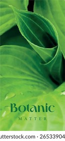 Detail of green plants. Botanic matter. Natural, texture, background, isolated, vector, graphic.