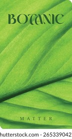 Detail of green plants. Botanic matter. Natural, texture, background, isolated, vector, graphic.
