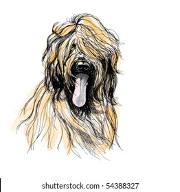 Yellow Dog Drawing Images Stock Photos Vectors Shutterstock