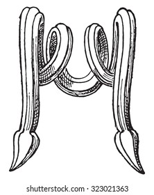 Detail of the handle of a plate, vintage engraved illustration.
