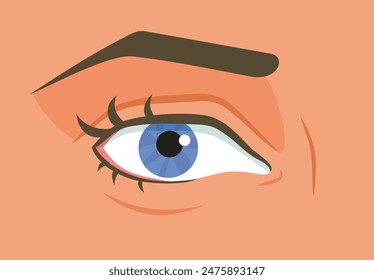 
Detail of a Human Eye Vector Cartoon illustration. Healthy eyeball with blue iris concept design 
