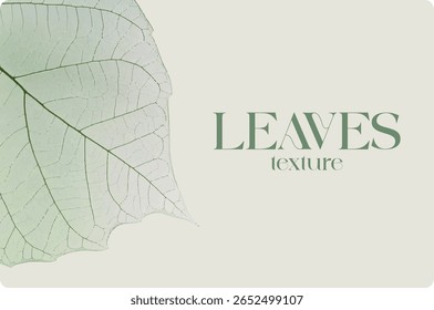 Detalhe das folhas. Botânica floral. Vetor. Ilustração, isolada. Textura