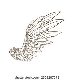 detail line art illustration of angel wings, vector style