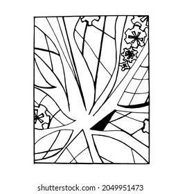 The detail of the ornament, inscribed in the shape of a rectangle