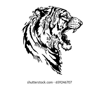 Detail Realistic Hand Drawing Angry Tiger Head Illustration