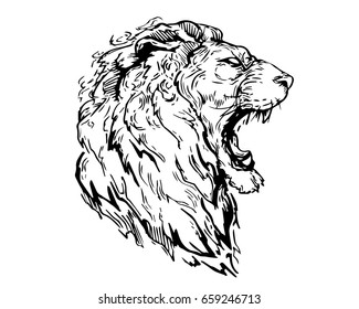 Detail Realistic Hand Drawing Angry Lion Head Illustration