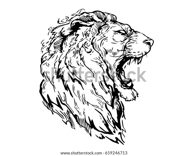 Detail Realistic Hand Drawing Angry Lion Stock Vector (Royalty Free ...