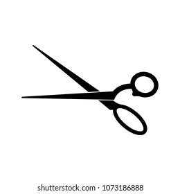 Detail Scissor Icon Vector