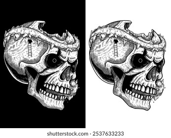 Detail Skull Head Hand drawing hatching technique,  Black and white color editable Vector EPS for coloring, Can be used for t-shirts, posters, stickers.