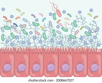 detail the Small Intestine internal environment