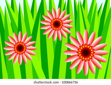 Detail of summer meadow