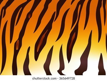 Detail of tiger skin pattern