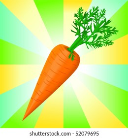 Detail vector illustration of the carrot