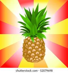 Detail Vector illustration of ripe pineapple.