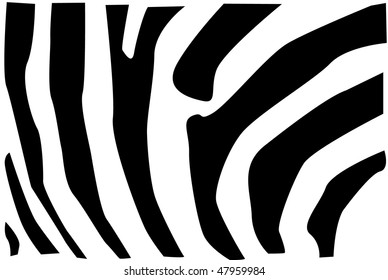 Detail vector illustration of zebra fur pattern.