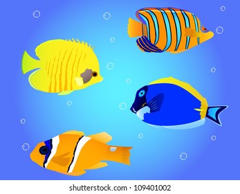 Detail vector tropical fish collection of butterflyfish, angelfish, clownfish, blue hepatus