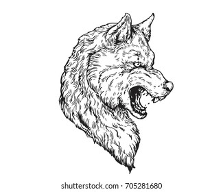 Detail Vintage Realistic Hand Drawing Angry Wolf Head Illustration