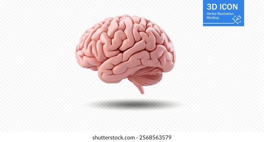 A detailed 3D illustration of a human brain in soft pink hues, highlighting the complex structure and folds. This representation displays the brain's anatomy effectively.